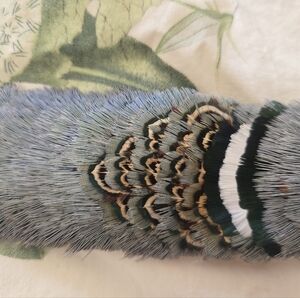 Beautiful Hawaiian Handmade Feather Hat Band